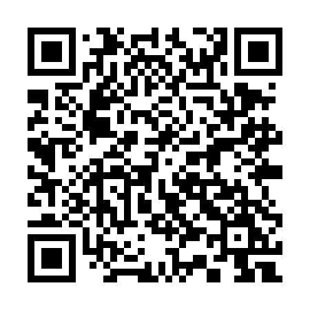 QR code for 339TDM