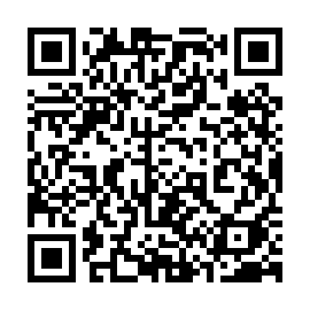 QR code for 369PQI