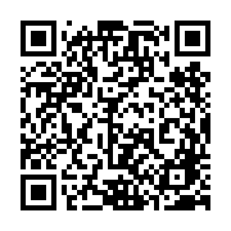 QR code for 369TDG