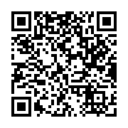 QR code for 371SDS