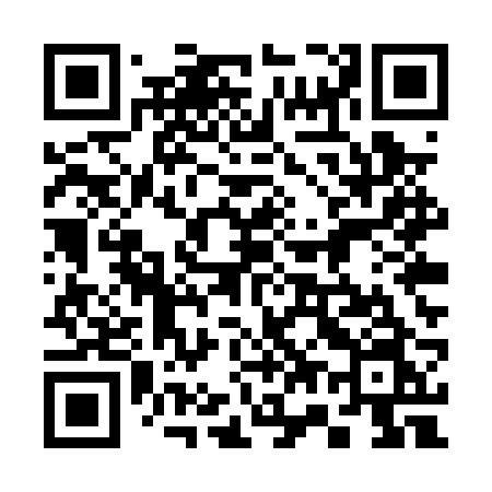 QR code for 375PRN