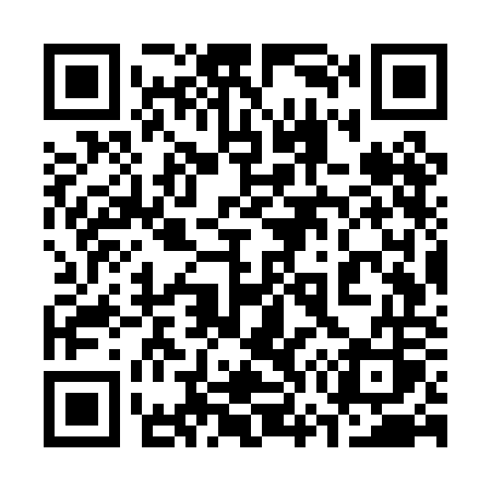 QR code for 377POS