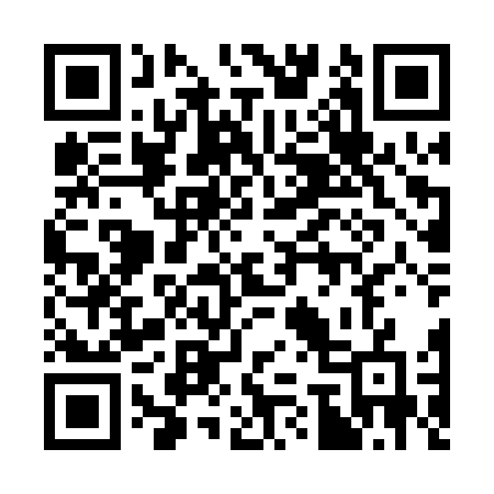 QR code for 378PVG