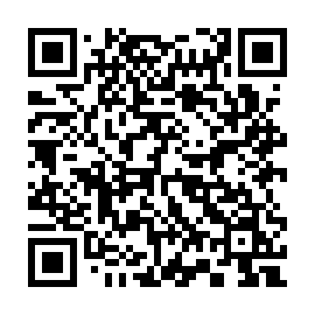 QR code for 379AUN