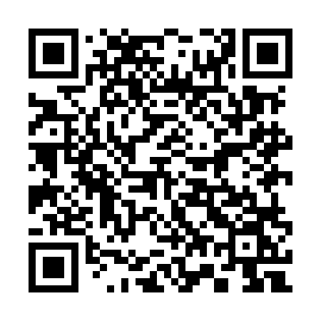 QR code for 379MLN