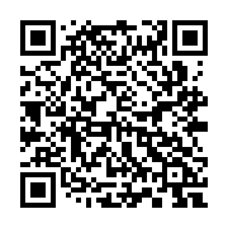 QR code for 379SFF
