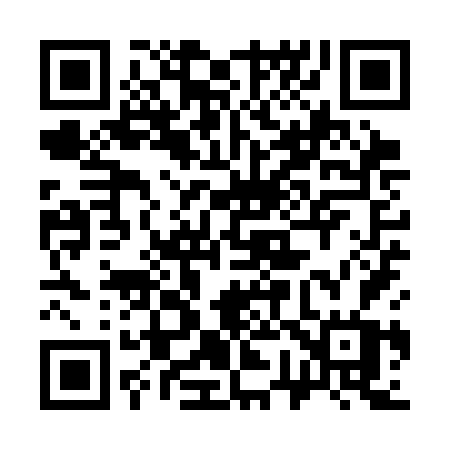 QR code for 379SFW