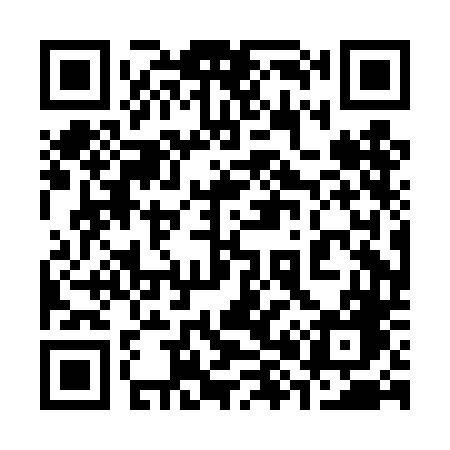 QR code for 380DDG