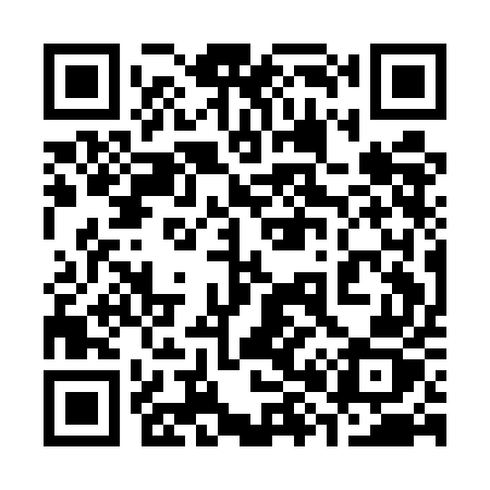 QR code for 381EEZ