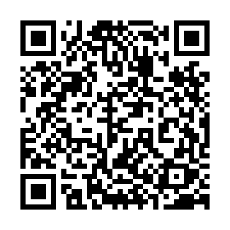 QR code for 381LFX