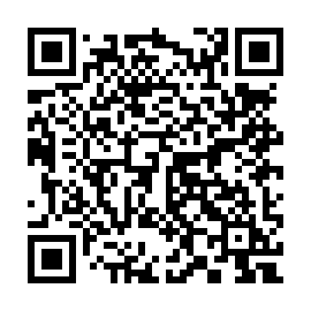 QR code for 381LYI