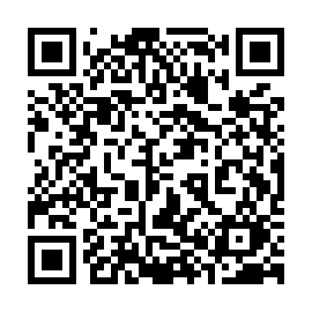 QR code for 381MSO