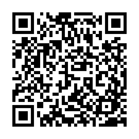 QR code for 381OTO