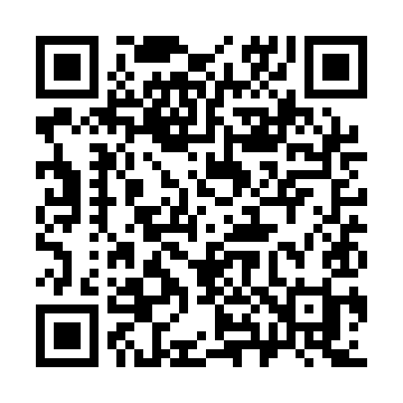 QR code for 381QII