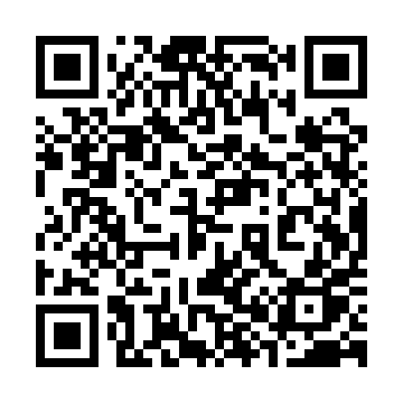 QR code for 381QPP