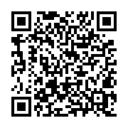 QR code for 381VMG