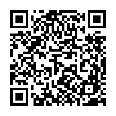QR code for 381ZFN