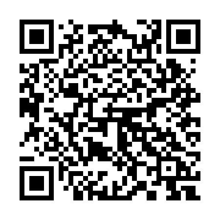 QR code for 382BRC