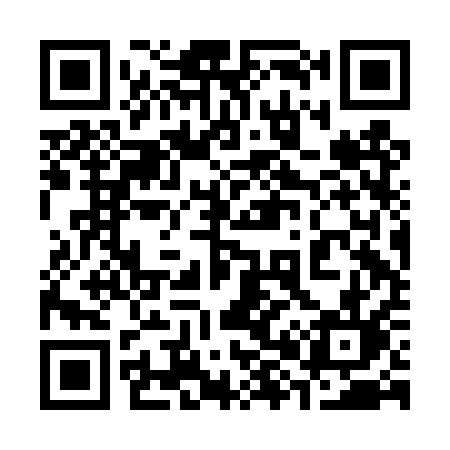 QR code for 382DQL