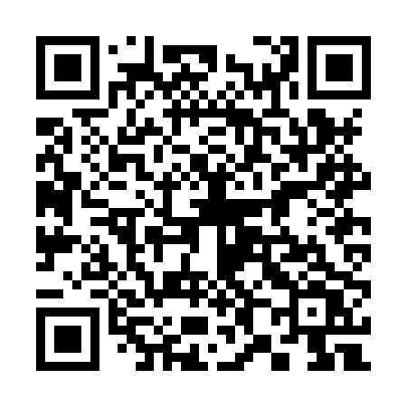 QR code for 382HPV