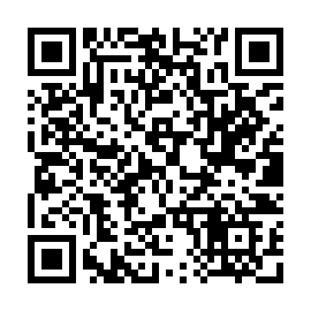 QR code for 382YJG