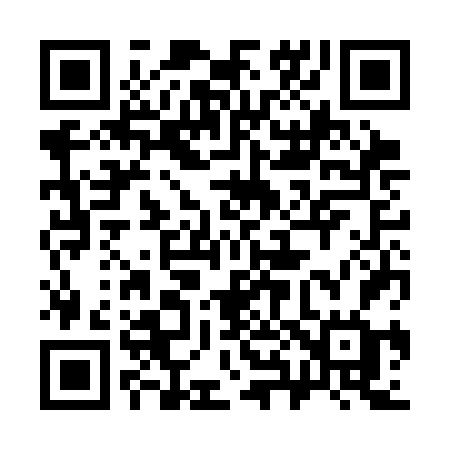 QR code for 383CFG
