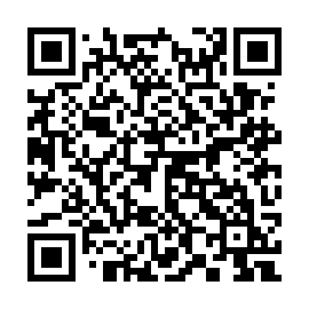 QR code for 383EKK