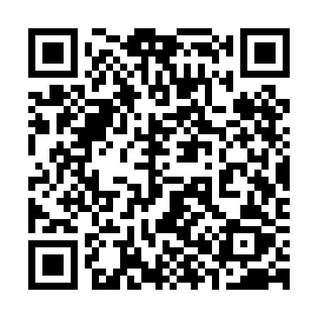 QR code for 383PBZ