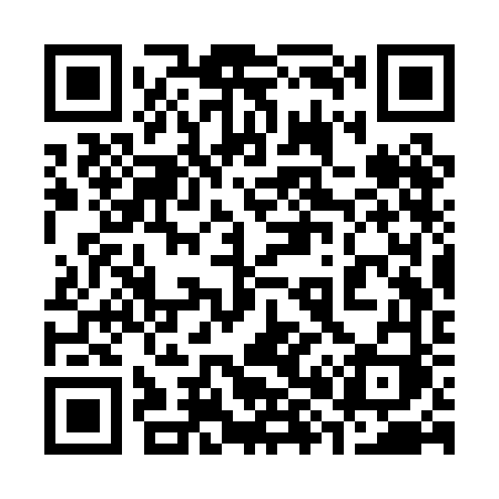 QR code for 383PFI