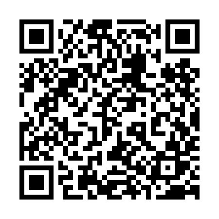 QR code for 383TIR