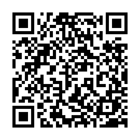 QR code for 383ZOL