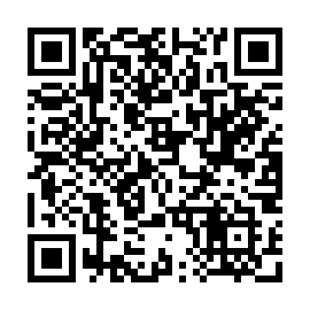 QR code for 384BOK
