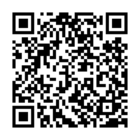 QR code for 384DIS