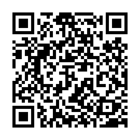 QR code for 384DSY