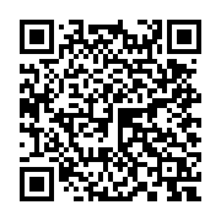 QR code for 384DVP