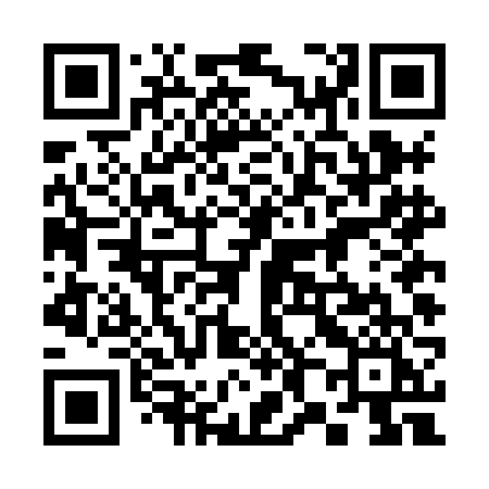 QR code for 384HFI
