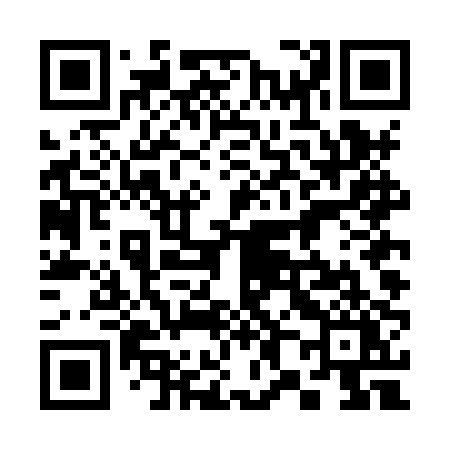 QR code for 384HPY