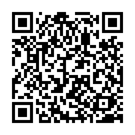 QR code for 384LSK