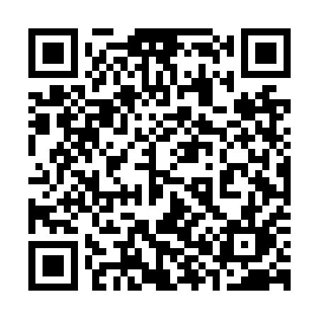 QR code for 384NQL