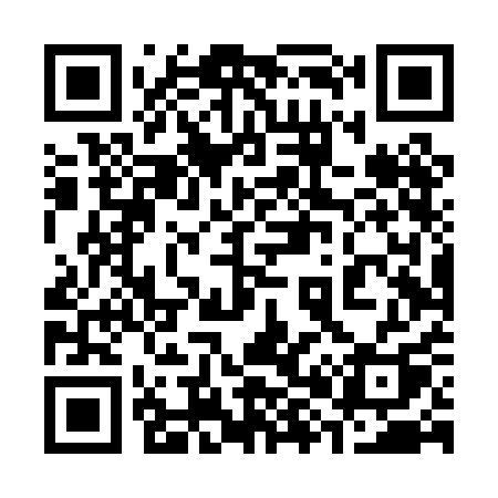 QR code for 384PAQ