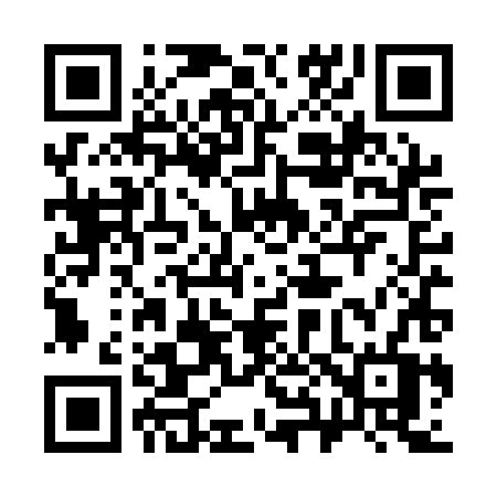 QR code for 384QHV