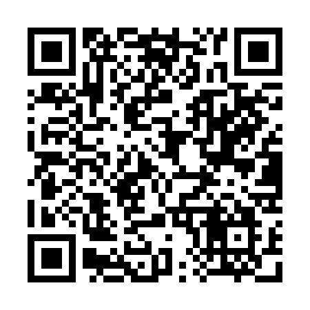 QR code for 384RCO
