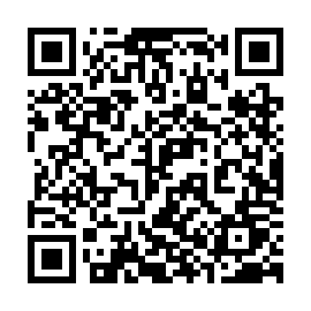 QR code for 384SOT