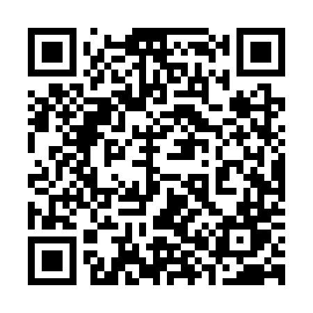 QR code for 384STT