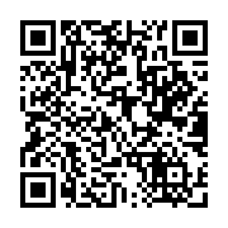 QR code for 384WMV