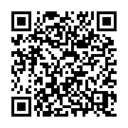 QR code for 384ZDP