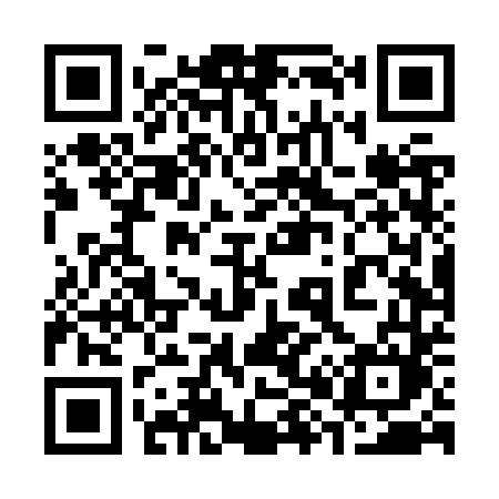 QR code for 384ZTM