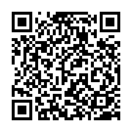 QR code for 385IAP