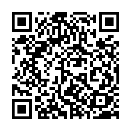 QR code for 385MUX