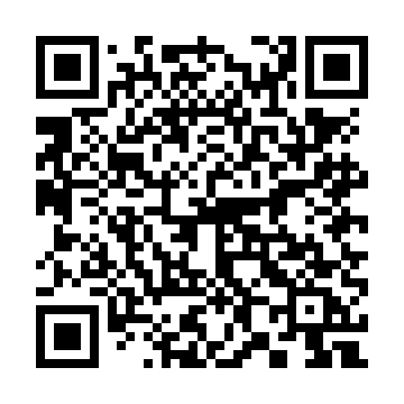 QR code for 385NEC